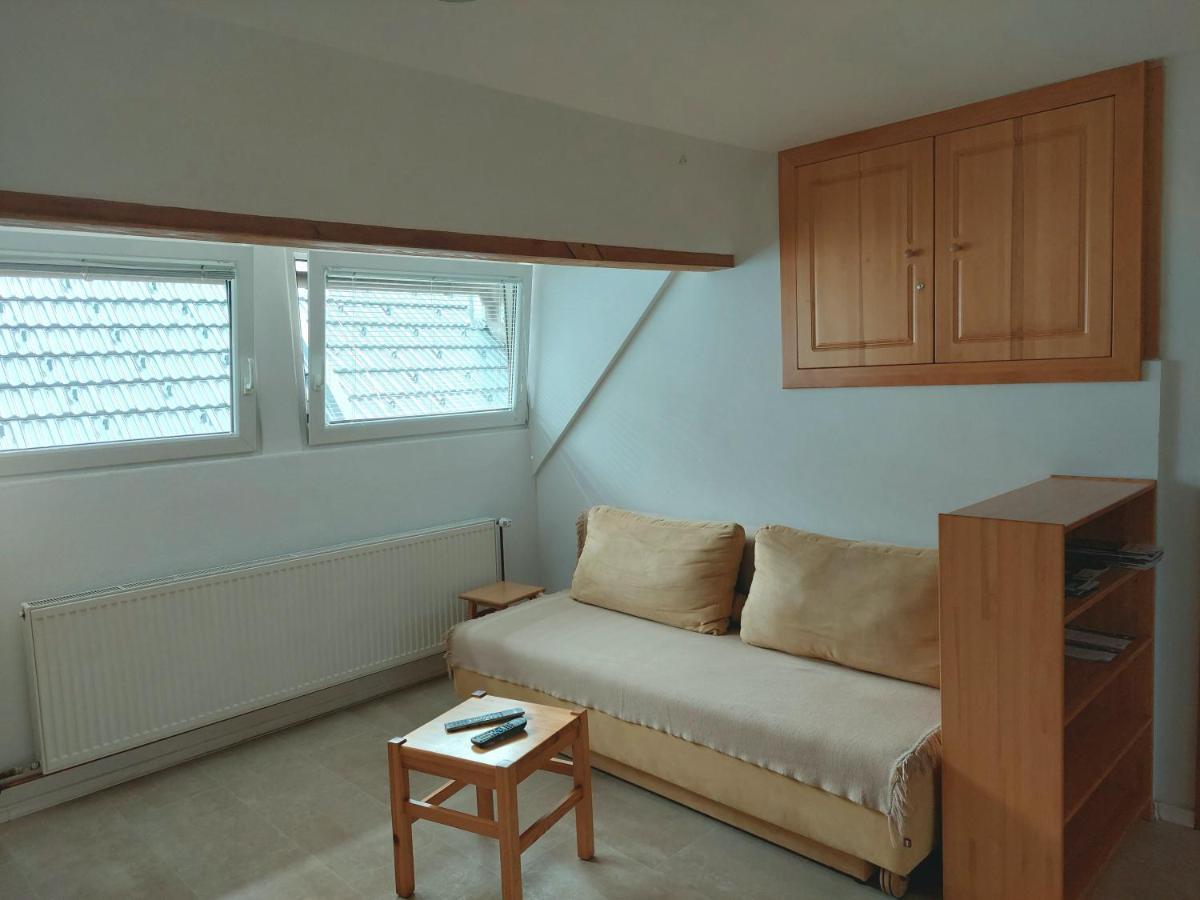 Apartments Susnik بوينج المظهر الخارجي الصورة
