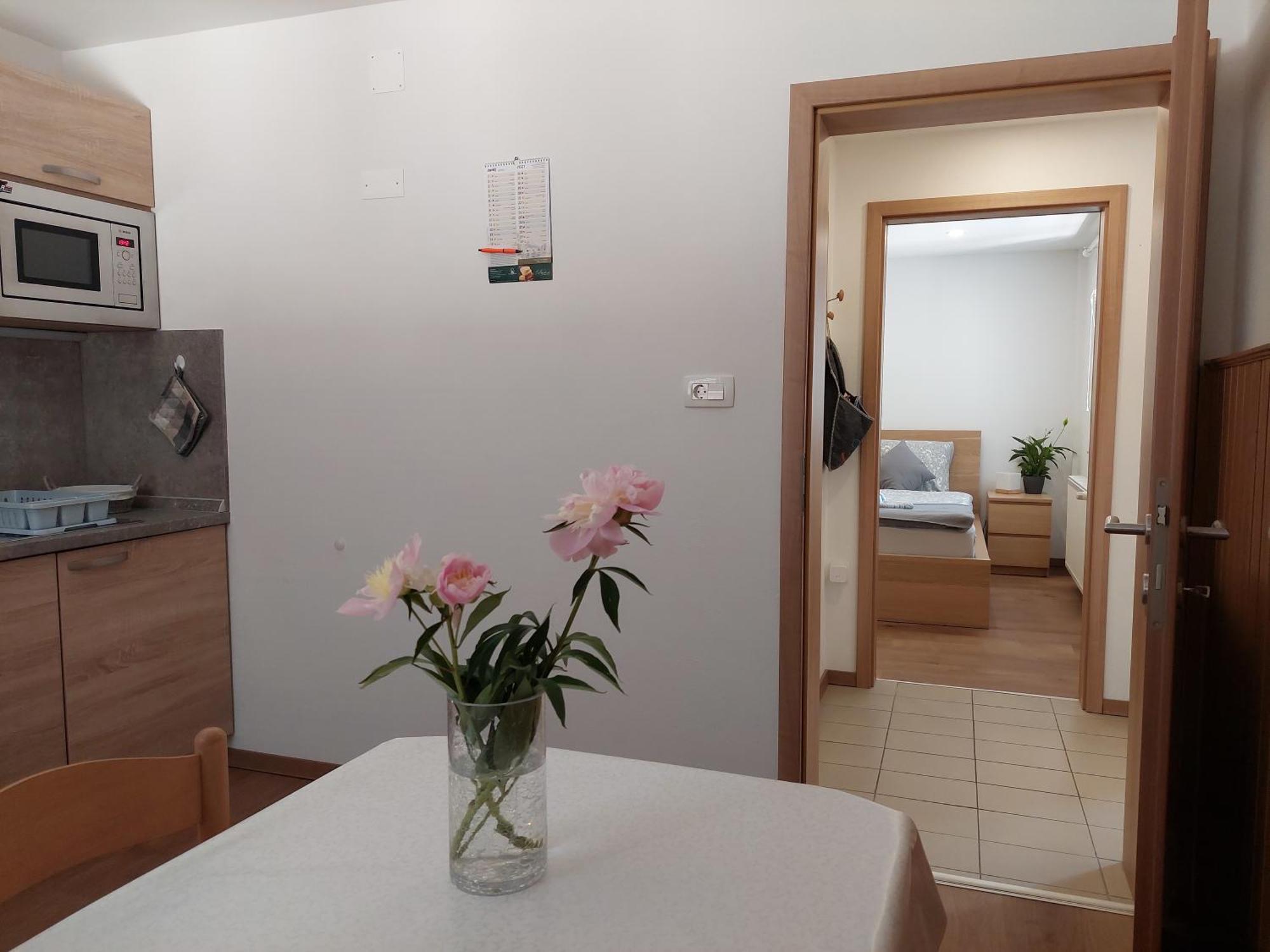 Apartments Susnik بوينج الغرفة الصورة